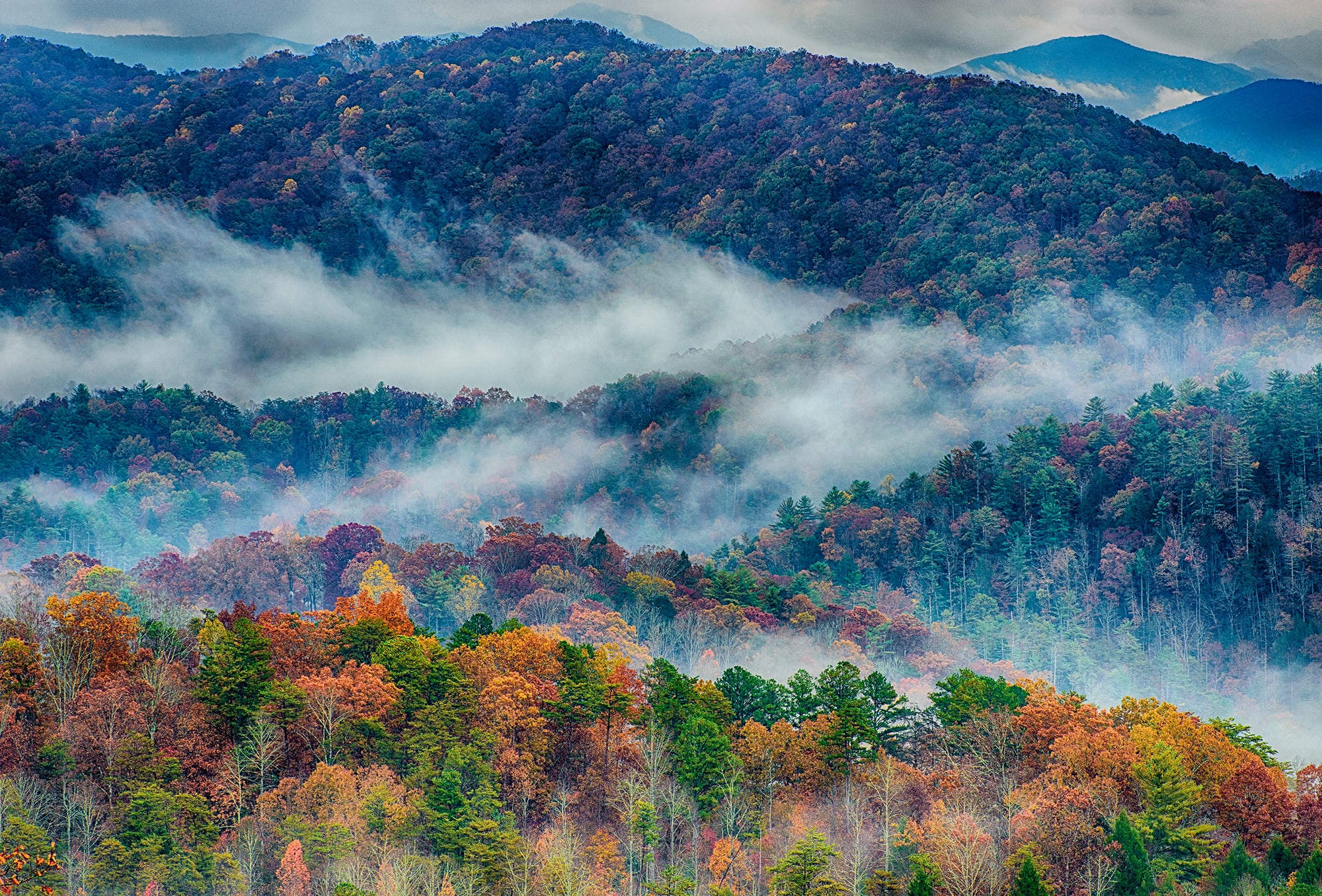 mountains and trees