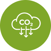 carbon-badge